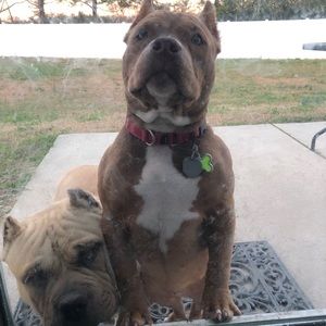 Meet your Posher, William